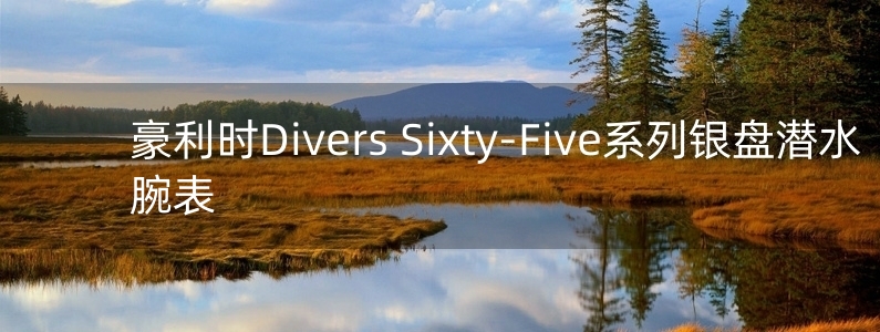 豪利时Divers Sixty-Five系列银盘潜水腕表