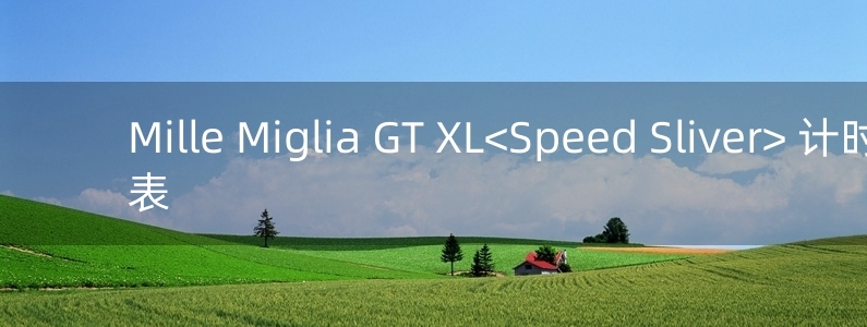 Mille Miglia GT XL<Speed Sliver> 计时码表