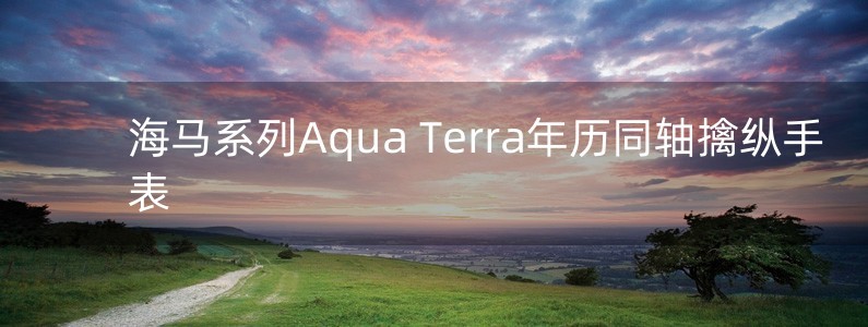 海马系列Aqua Terra年历同轴擒纵手表